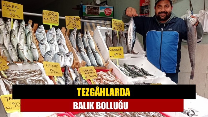 Tezgâhlarda balık bolluğu