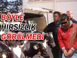 Böyle hırsızlık görülmedi