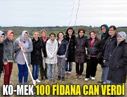 KO-MEK 100 fidana can verdi