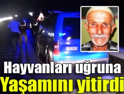 Hayvanları uğruna yaşamını yitirdi