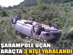 Şarampole uçan araçta 3 kişi yaralandı