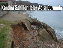 Kandıra sahilleri içler acısı durumda