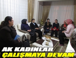 Ak Kadınlar çalışmaya devam