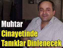 Muhtar cinayetinde tanıklar dinlenecek