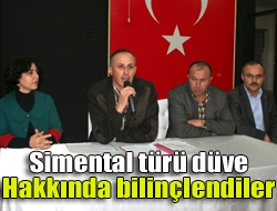 Simental türü düve hakkında bilinçlendiler