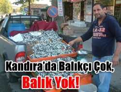 Kandıra’da Balıkçı çok, Balık yok!