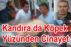 Kandıra'da Köpek Yüzünden Cinayet