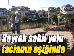 Seyrek sahil yolu facianın eşiğinde