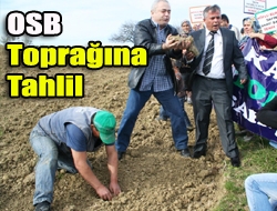 OSB Toprağına Tahlil