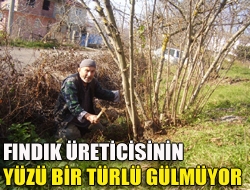 Fındık üreticisinin yüzü bir türlü gülmüyor