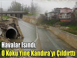 Havalar ısındı, o koku yine Kandırayı çıldırttı