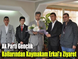 Ak Parti Gençlik Kollarından Kaymakam Erkala Ziyaret