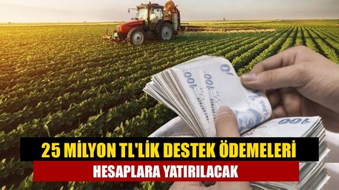 25 milyon TL'lik destek ödemeleri hesaplara yatırılacak