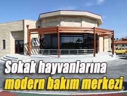 Sokak hayvanlarına modern bakım merkezi