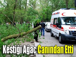 Kestiği Ağaç Canından Etti