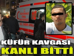 Küfür kavgası kanlı bitti