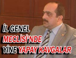 İl Genel Meclisi'nde yine yapay kavgalar