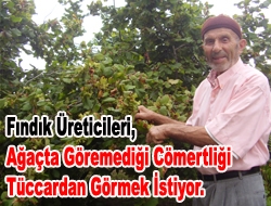 Fındık üreticileri, ağaçta göremediği cömertliği tüccardan görmek istiyor.