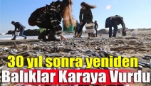 30 yıl sonra yeniden balıklar karaya vurdu