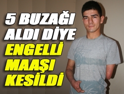 5 buzağı aldı diye engelli maaşı kesildi