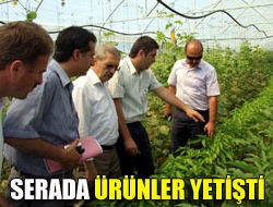 Serada ürünler yetişti