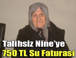 Talihsiz Nineye 750 TL su faturası