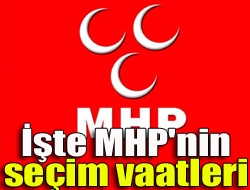 İşte MHP'nin seçim vaatleri