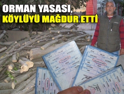 Orman Yasası, köylüyü mağdur etti