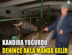 Kandıra Yoğurdu denince akla manda gelir