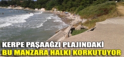 Kerpe Paşaağzı plajındaki bu manzara halkı korkutuyor