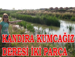 Kandıra Kumcağız Deresi iki parça