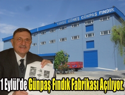 1 Eylülde Günpaş Fındık Fabrikası Açılıyor.