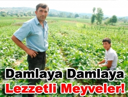 Damlaya damlaya lezzetli sebzeler