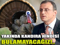 Yakında Kandıra Hindisi Bulamayacağız!..