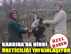 Kandırada hindi üreticiliği yaygınlaşıyor