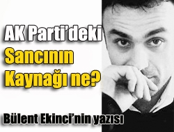 AK Partideki sancının kaynağı ne?