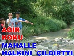 Ağır Koku Mahalle Halkını Çıldırttı