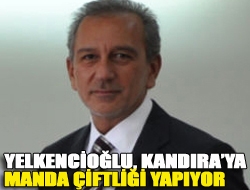 Yelkencioğlu, Kandıraya Manda çiftliği yapıyor