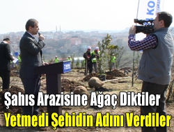 Şahıs arazisine ağaç diktiler yetmedi şehidin adını verdiler