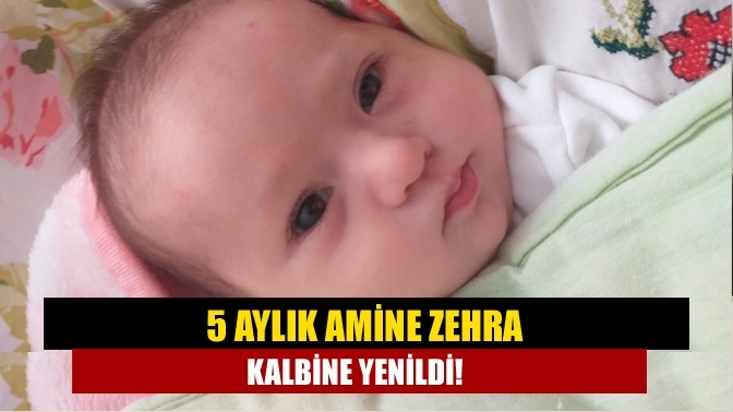 5 aylık Amine Zehra kalbine yenildi!