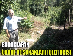 Budakların cadde ve sokakları içler acısı