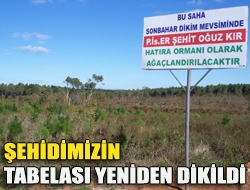 Şehidimizin tabelası yeniden dikildi