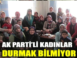 AK Partili kadınlar durmak bilmiyor