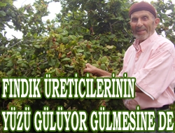 Fındık üreticilerinin yüzü gülüyor gülmesine de?