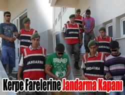 Kerpe farelerine Jandarma kapanı