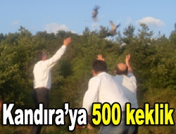 Kandıraya 500 keklik