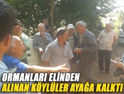Ormanları elinden alınan köylüler ayağa kalktı