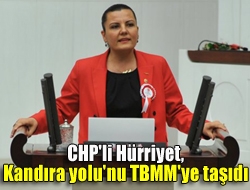 CHP'li Hürriyet, Kandıra yolu'nu TBMM'ye taşıdı