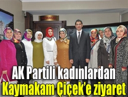 AK Partili kadınlardan Kaymakam Çiçeke ziyaret