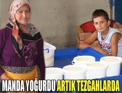 Manda yoğurdu artık tezgahlarda